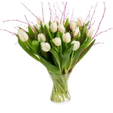 25 white tulips (Large)
