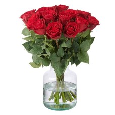 20 Red Roses (40 cm)