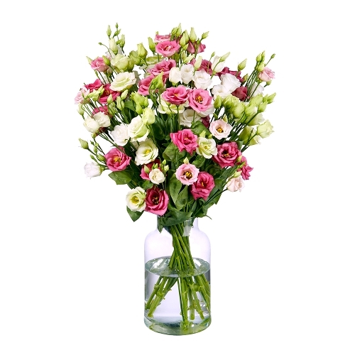 Bouquet Of Lisianthus (Small)