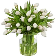 White tulip bouquet (Large)