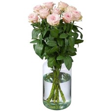 10 Pink Roses Premium