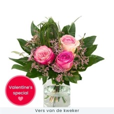 Valentine pink roses