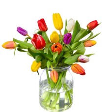 Colorful mixed tulips bouquet (Small)