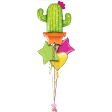 Potted Cactus