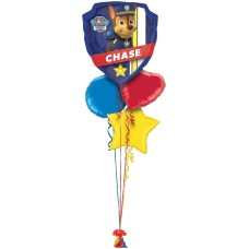 Paw Patrol Giant Chase