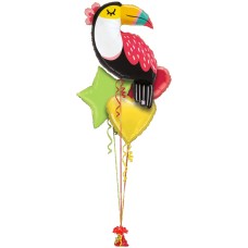 Giant Toucan