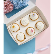 Sweet Young Coconut CupCakes Set