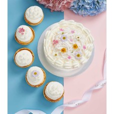 Sweet Young Coconut Cake & Sweet Young Coconut CupCakes Set