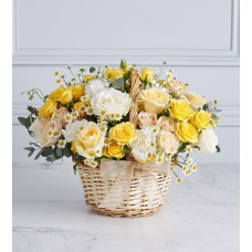 Summer Surprise