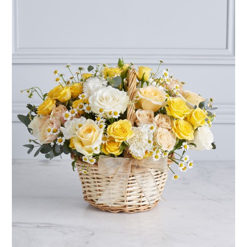 Summer Surprise