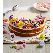 Sweet Vanila Butter Cake