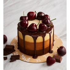 Mini cake tri-colour brown frosting milk chocolate