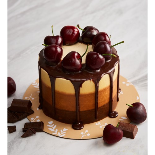 Mini cake tri-colour brown frosting milk chocolate