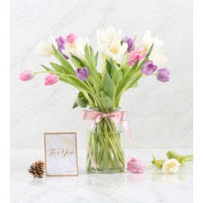 Tulip In Vase