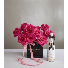 Wine & Balloon Pink Floyd Gift
