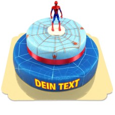 Spider-Man on two tier spider web cake with ribbon
