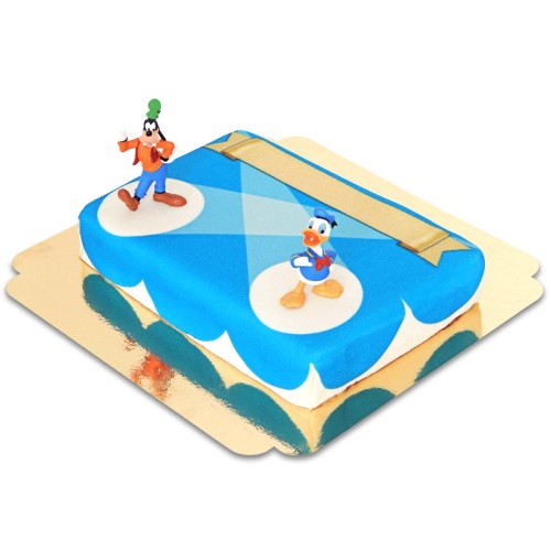Donald and Goofy on stage cake