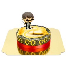 Harry Potter on Magic Cake (Medium (12 Servings))