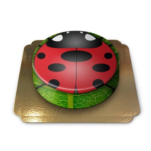 Ladybug / Ladybug cake (Small (18 cm(6 servings)))