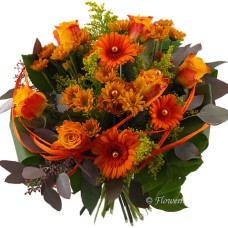 Autumn cosiness (elegent)