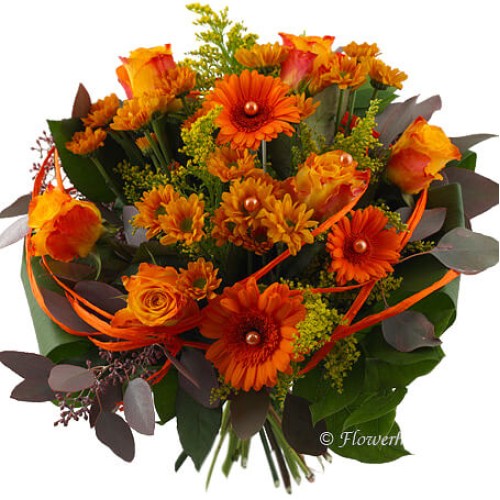 Autumn cosiness (elegent)