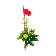 Send Bouquet Red Star As Blombud Send Bouquet Red Star As Blombud