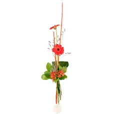 Send Bouquet Rio Blombud