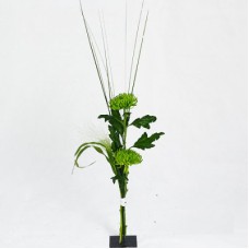 Send bouquet Festival blombud