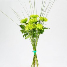 High bouquet of gran anastasia cross