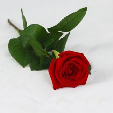 Hand bouquet with a red rose