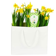 Send Easter bag daffodils as flower delivery