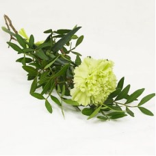Funeral hand flower with a lime carnation, Grant