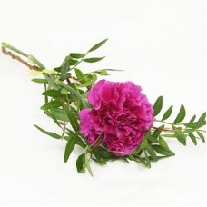 Funeral hand flower with cerises