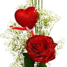 Red rose with heart
