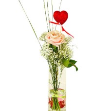 Pink rose with heart