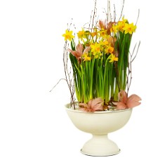 Send Happy Easter planting as a flower delivery