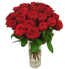24 Red Roses