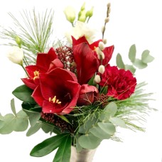 July Amaryllis