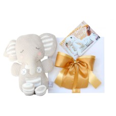 Baby's First Teddy