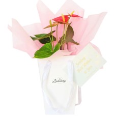 Flowers Gift In Pink