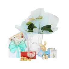 New Baby Flowers and Gift Box for Boy