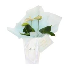 Flowers Gift In Blue