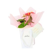 Flowers Gift in Pink