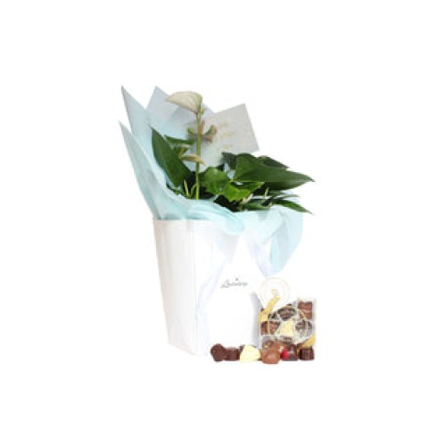 Luxurious Flowers and Chocolate for all Occasions