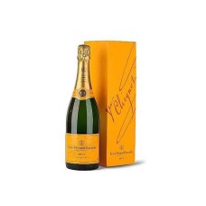 Sparkle Like Champagne