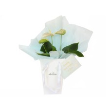 Flowers Gift in Blue