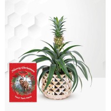 Golden Pineapple Plant with Card