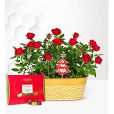 Rose Duo with Chocolates