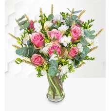 Freesia Fields (Standard)