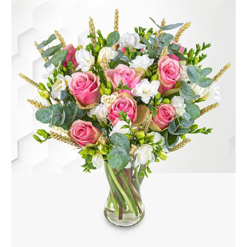 Freesia Fields (Standard)